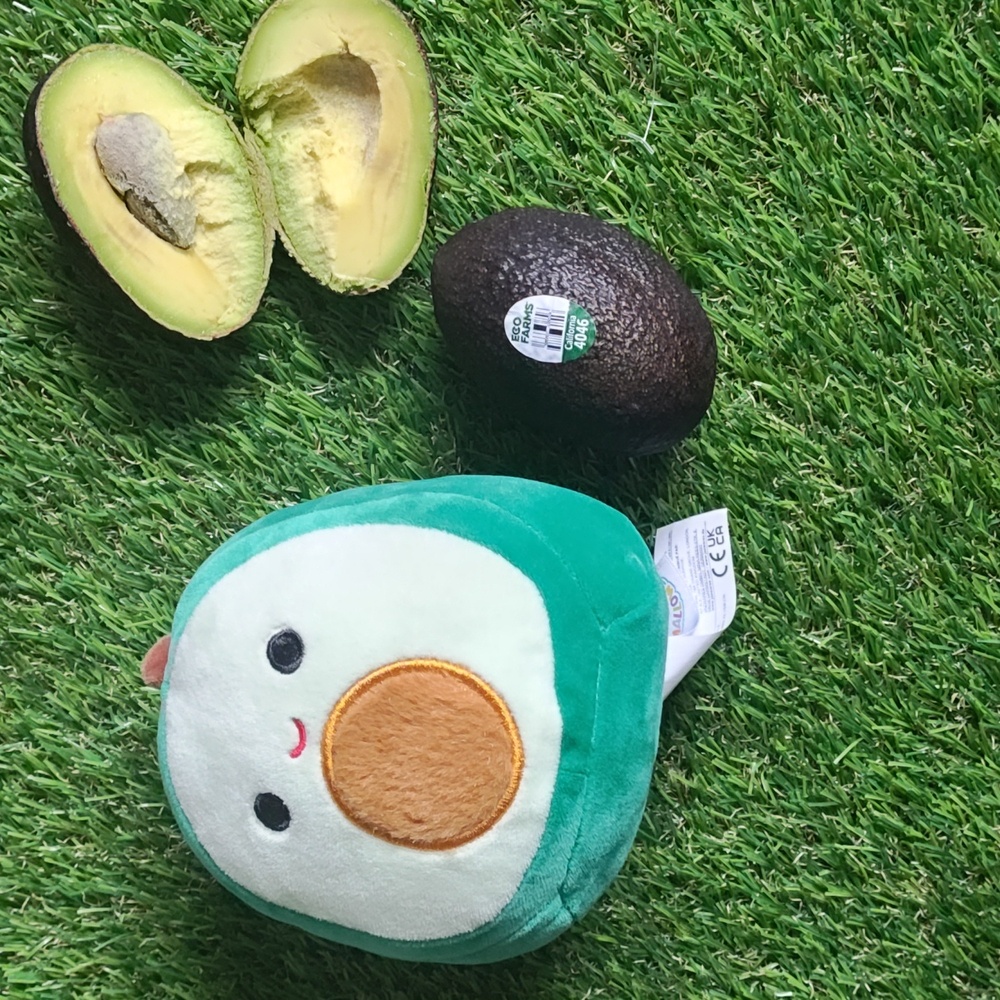 Cute Avocado Plush Toy